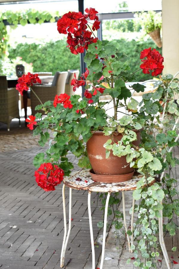 De Oude Limonadefabriek Bed and Breakfast Beek  Eksteriør billede
