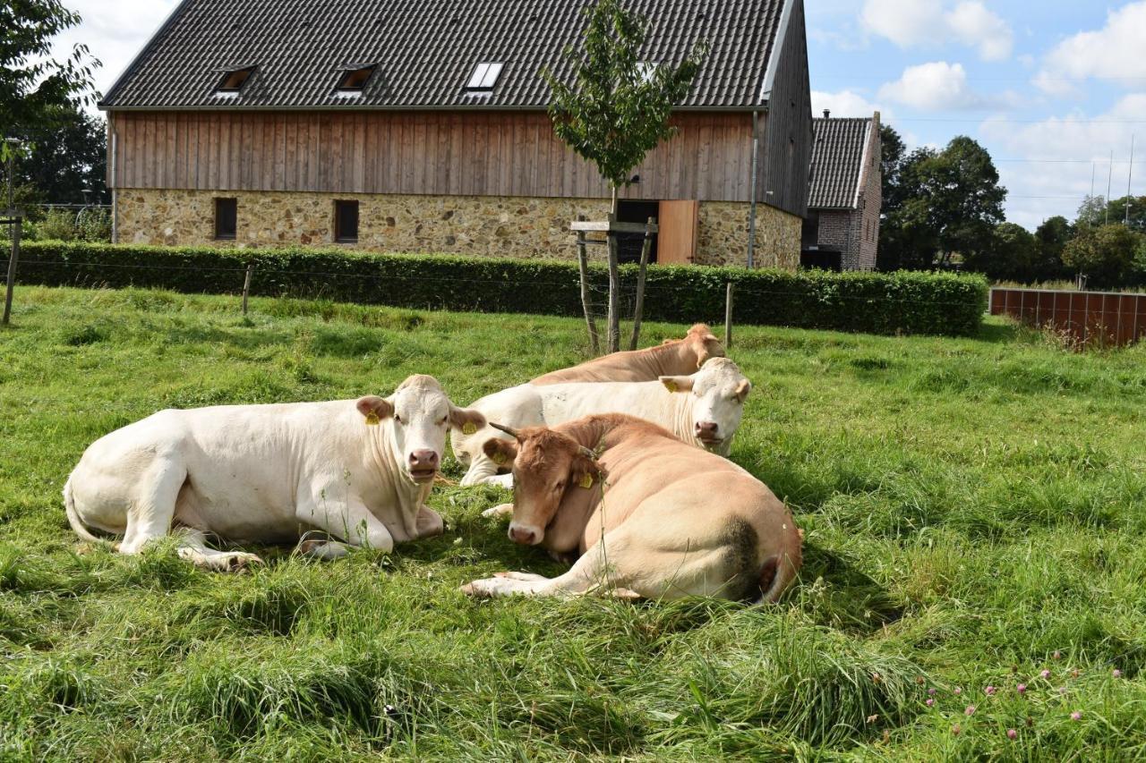 De Oude Limonadefabriek Bed and Breakfast Beek  Eksteriør billede